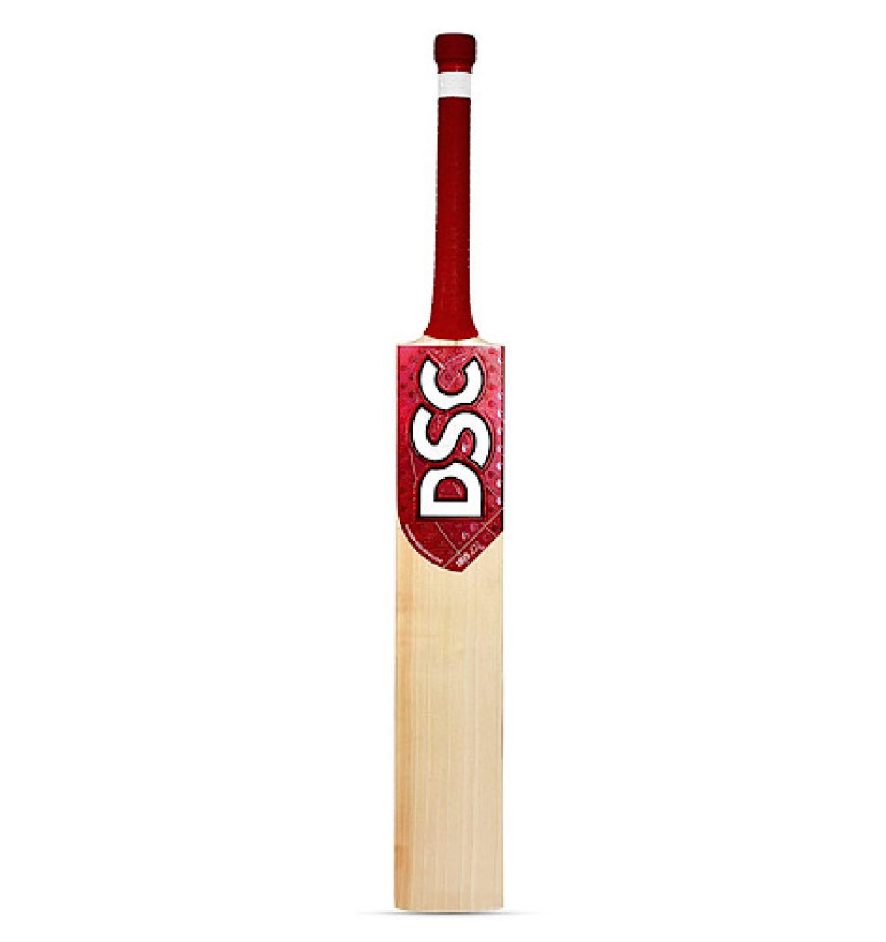 DSC IBIS 222 English Willow Cricket Bat