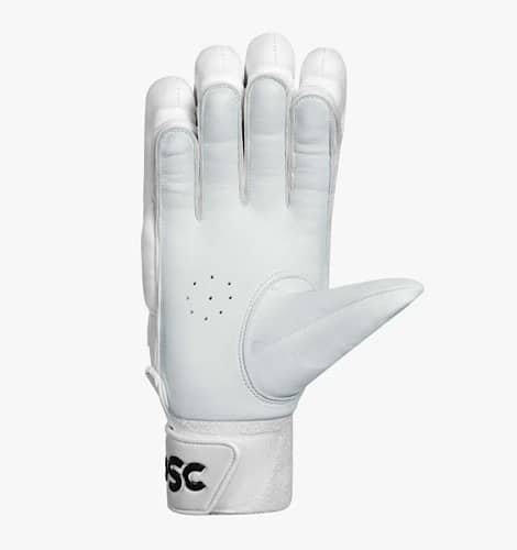 DSC Bull 31 Batting Gloves