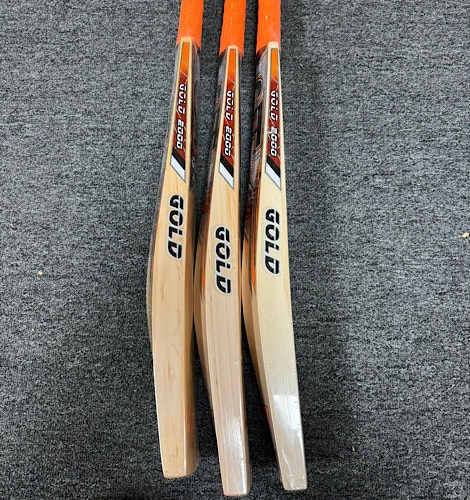 CA Gold 2000 Cricket Bat