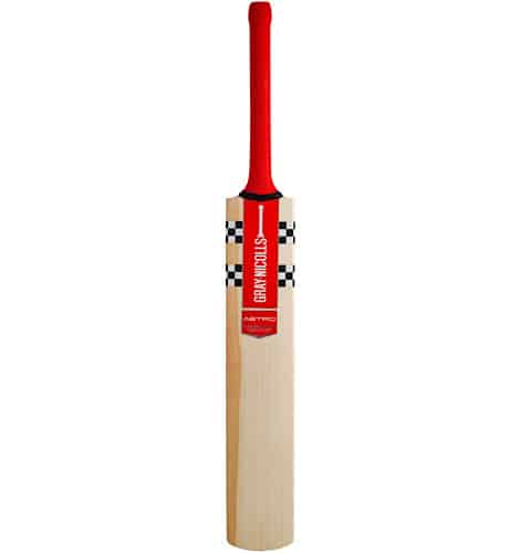 Gray Nicolls Astro Players Edition Cricket Bat