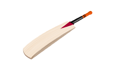 Junior Cricket Bats