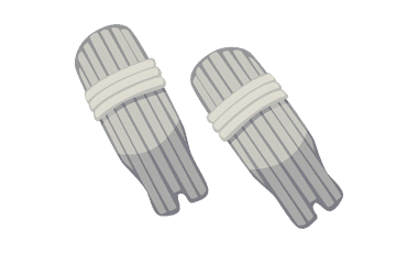 Batting Pads