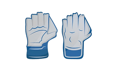 Wicket Keeping Gloves