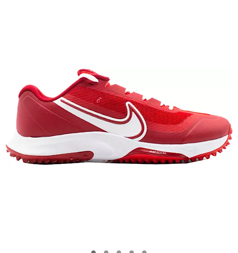 Nike Turf Cricket Shoes