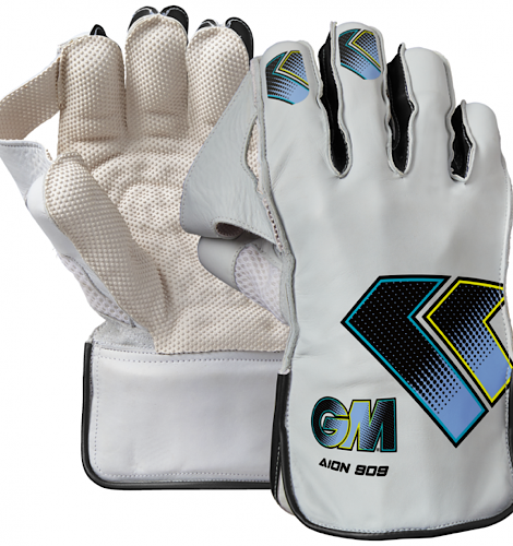 GM Aion 909 Wicket Keeping Gloves