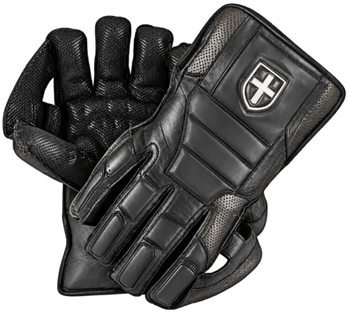 Focus Black Edition Wicket Keeping Glove